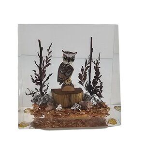 Vintage Unique Canada Lucite Encase Wood Carved Great Horned Owl Paperweight